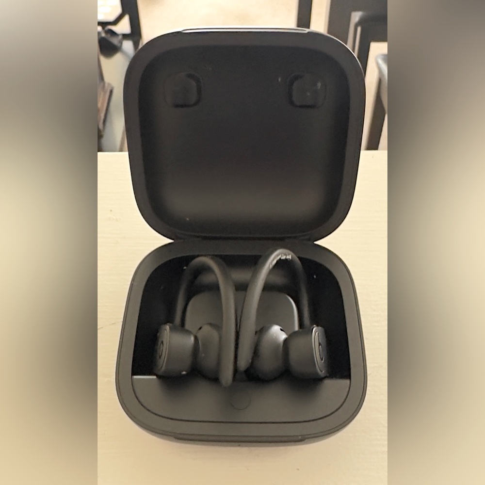 Powerbeats Pro Model #A2048 Version 4A394 w/ hard case  & soft outer case